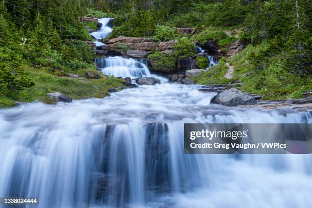 cascading waterfalls of lunch creek along going to the sun road near logan pass;  glacier national park, montana. - going to the sun road stock pictures, royalty-free photos & images