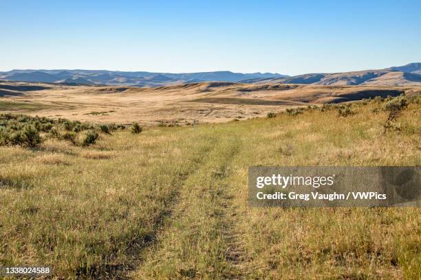 Trail Ruts 26 Oregon Trail Ruts Stock Photos, High-Res Pictures, and Images ...