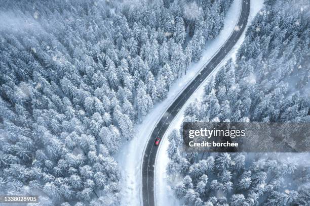 fahrt durch den winterwald - auto winter stock-fotos und bilder