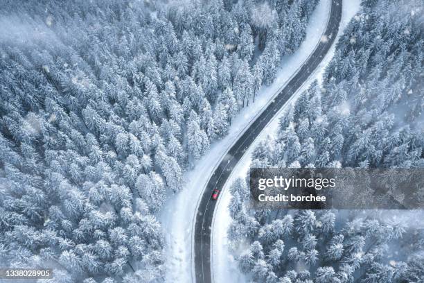 driving through the winter forest - snow flakes falling stock pictures, royalty-free photos & images