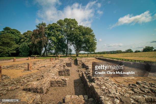 roman era history. hadrians wall, northumberland. birdsowald area. - tyne and wear stock-fotos und bilder