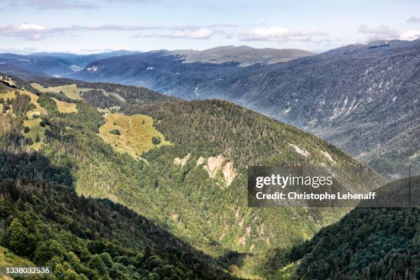 view from the crêt de chalam in jura mountains, france - jura stockfoto's en -beelden
