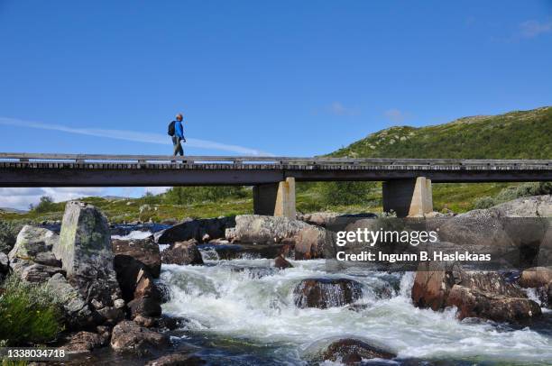 man with blue jacket and backpack crossing a bridge in the mountains. landscape with streaming river at mountain plateau on a beautiful day in late summer. - østfold stock pictures, royalty-free photos & images