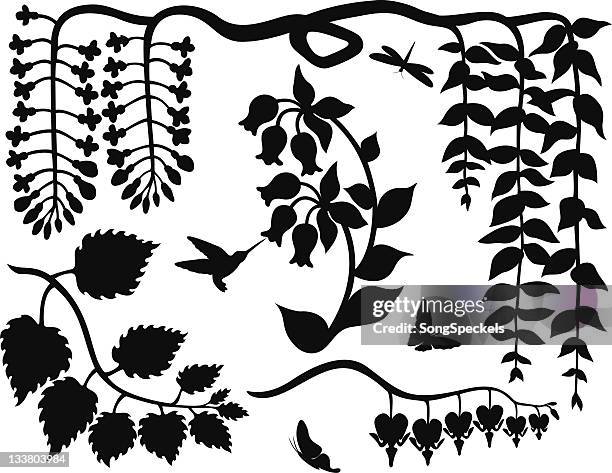 stockillustraties, clipart, cartoons en iconen met nature elements silhouettes - blauweregen