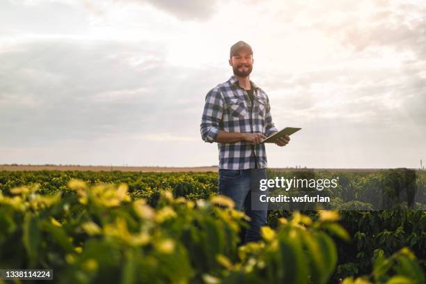 man in a coffee plantation. researcher. - farmer mobile stock pictures, royalty-free photos & images