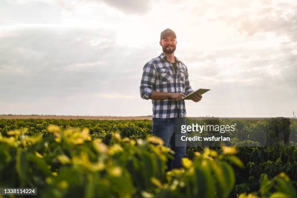 man in a coffee plantation. researcher. - agriculture bildbanksfoton och bilder
