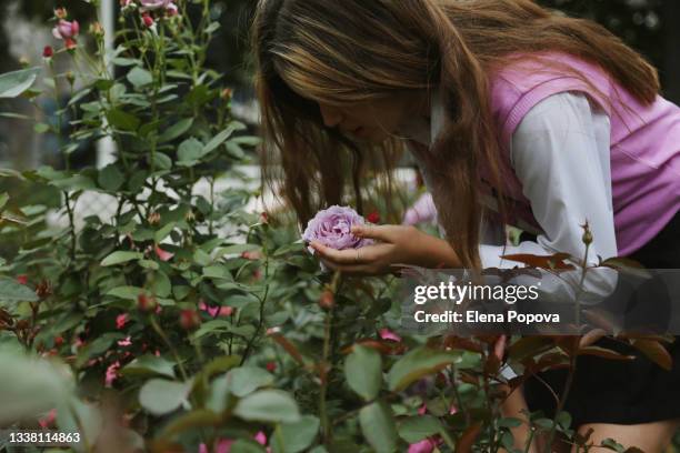 teenage girl walking at the garden of roses - rosa violette parfumee photos et images de collection