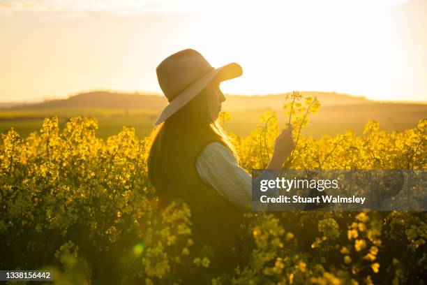 female farmer inspects canola crop - farmer australia ストックフォトと画像