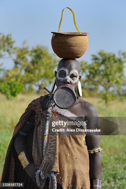 woman with body scars & lip plate belonging to mursi tribe, seen  in mago national park, lower omo valley in ethiopia - lower omo valley stock pictures, royalty-free photos & images