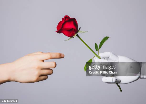 human hand reaching for red rose in robotic hand - like ai stock pictures, royalty-free photos & images