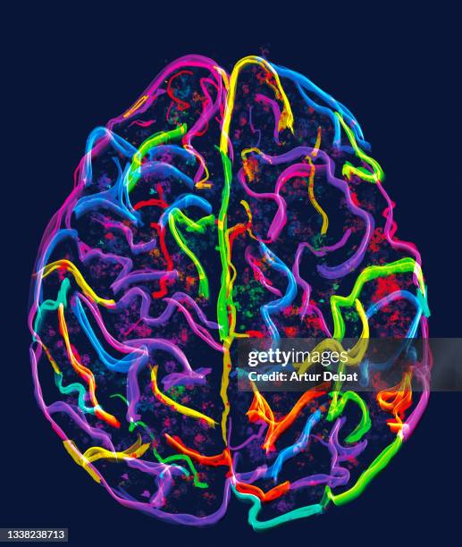 colorful brain illustration seen from above with two halves. - art and science stock-fotos und bilder