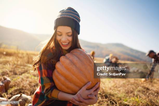 happy young female farmer harvesting pumpkins on the field - pompoenenveld stockfoto's en -beelden