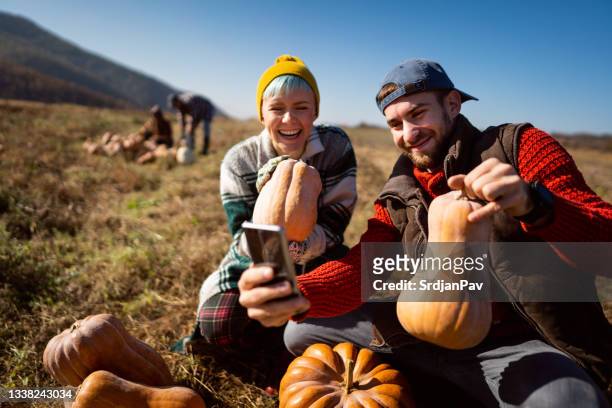 jeune couple caucasien faisant un selfie avec le téléphone intelligent avec des citrouilles après la récolte - agriculteur selfie photos et images de collection