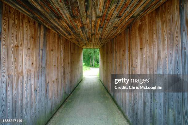 inveruglas pyramid, tunnel underneath - can't see the wood for the trees stock pictures, royalty-free photos & images