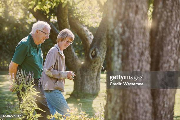 retired couple having gardening as hobby - ouderen stockfoto's en -beelden