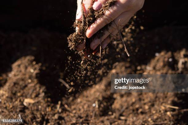 female hands holding fresh compost - sol phénomène naturel photos et images de collection