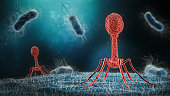 Phage infecting bacteria close-up 3D rendering illustration. phage inserting its DNA into a bacteria 3D rendering illustration close-up. Microbiology, medical, bacteriology, biology, science, healthcare, medicine, infection concepts.