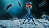 phage inserting its DNA into a bacterium 3D rendering illustration close-up. Microbiology, medical, bacteriology, biology, science, healthcare, medicine, infection concepts.