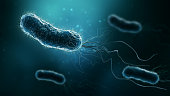 Group of bacteria such as Escherichia coli, Helicobacter pylori or salmonella 3D rendering illustration on blue background. Microbiology, medical, biology, science, healthcare, medicine, infection concepts.