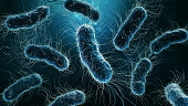 Colony of bacteria close-up 3D rendering illustration on blue background. Microbiology, medical, biology, science, medicine, infection, disease concepts.