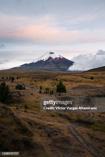 cotopaxi volcano at sunset - ecuador cotopaxi stock pictures, royalty-free photos & images