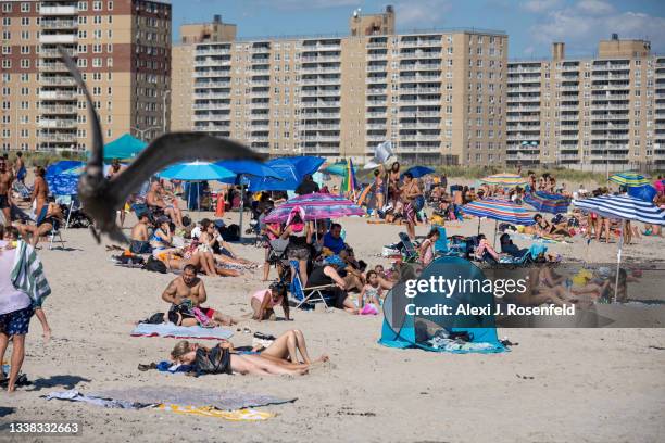 People fill Rockaway Beach over Labor Day Weekend on September 4, 2021 in the Queens Borough of New York City. Some neighborhoods are still...