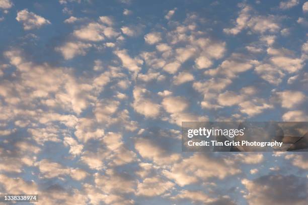 white clouds in a blue sky - altocúmulo fotografías e imágenes de stock