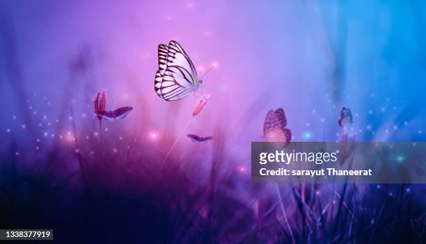 flock of butterflies flying around flowers at night, fantasy color theme. - schmetterling stock-fotos und bilder