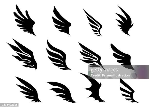 wing collection - aircraft wing stock illustrations