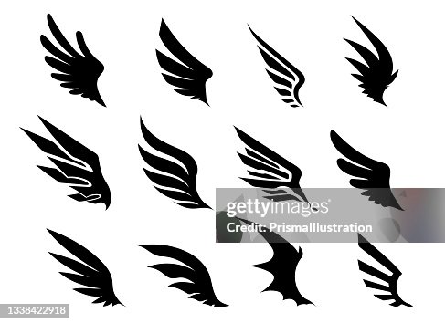 Wing Collection Wing Collection