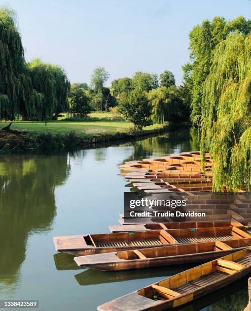 punts on the cam - cambridge england stock pictures, royalty-free photos & images
