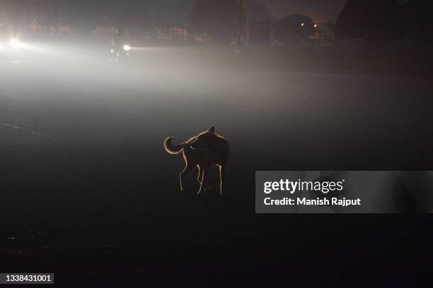 smoggy city - delhi smog stock pictures, royalty-free photos & images