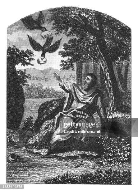 old engraved illustration of elijah fed by ravens - elias fotografías e imágenes de stock