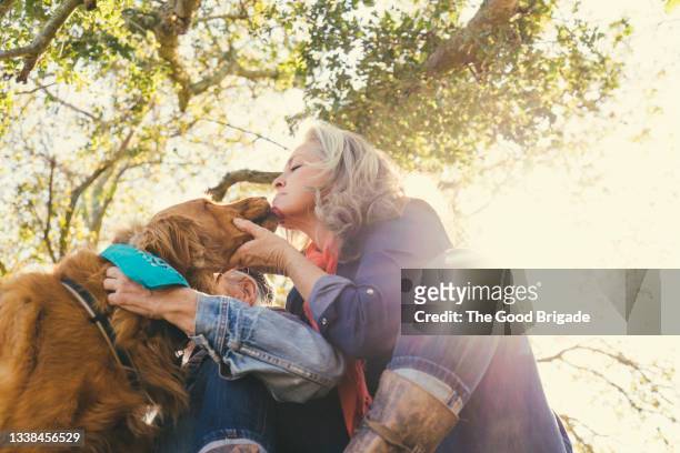 mature woman with dog on sunny day - middle age man with dog stockfoto's en -beelden