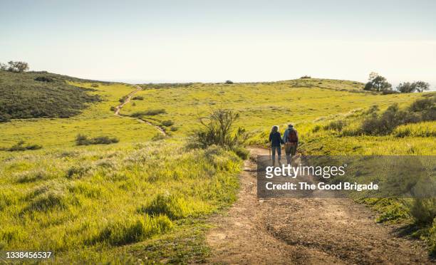 rear view of senior couple hiking on footpath in grassy field - hundeartige stock-fotos und bilder