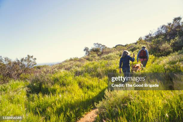 senior couple hiking in grassy field with dog on sunny day - middle age man and walking the dog stockfoto's en -beelden