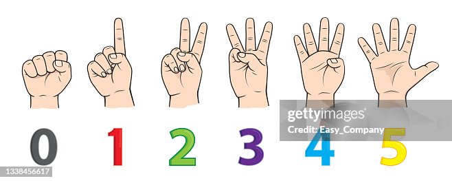 Touching Numbers Fingers For Teaching Early Counting In Children Education Stock ...