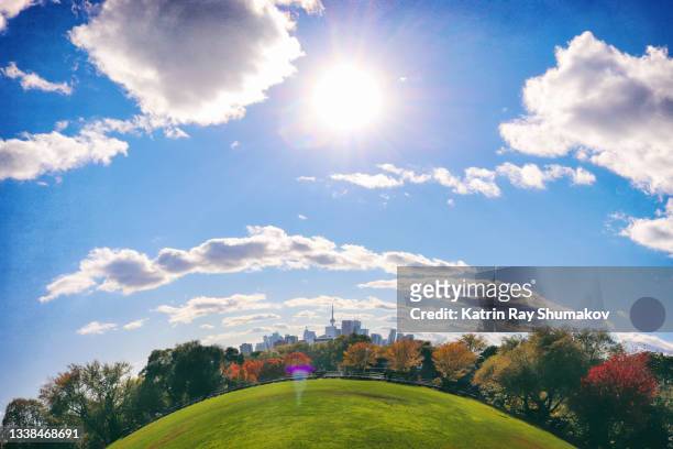 autumn planet of toronto - fish eye lens stock pictures, royalty-free photos & images