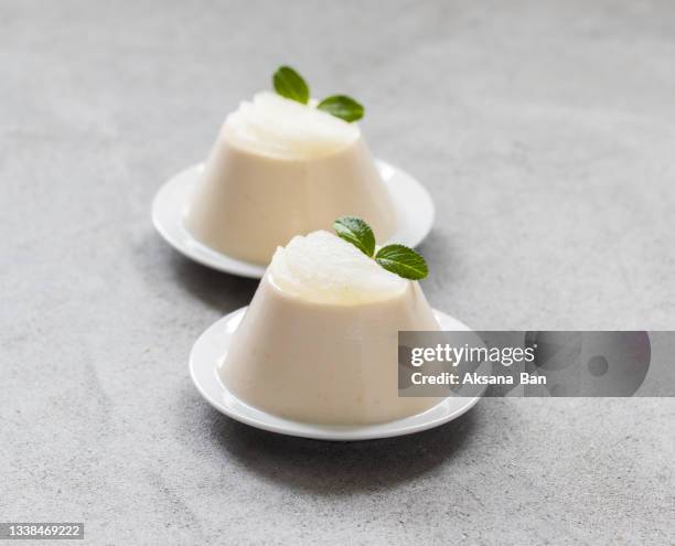 vegan dessert, vanilla melon panna cotta on a plate on a light gray background - panna cotta photos et images de collection