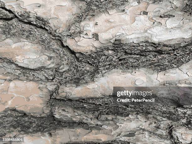 tree bark grunge texture. black dusty scratchy pattern. abstract grainy background. vector design artwork. textured effect. crack. - tree bark texture stock illustrations