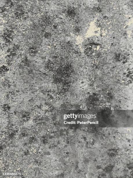 mold stone concrete grunge texture. black dusty scratchy pattern. abstract grainy background. vector design artwork. textured effect. crack. - metall 幅插畫檔、美工圖案、卡通及圖標