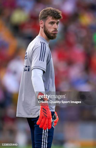 David de Gea of Spain looks on prior to the 2022 FIFA World Cup Qualifier match between Spain and Georgia at Estadio Nuevo Vivero on September 05,...