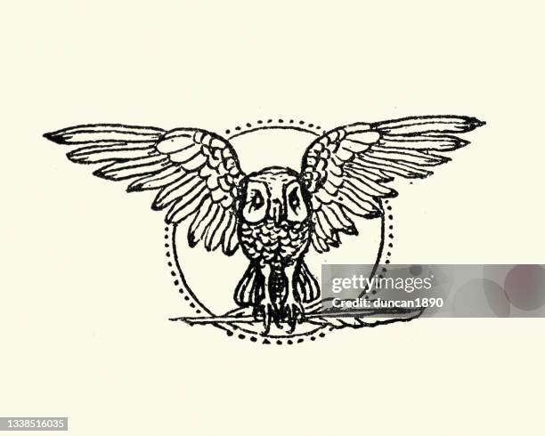 bildbanksillustrationer, clip art samt tecknat material och ikoner med owl with spread wings carrying a quill, wise, writing, knowledge, symbols - uggla