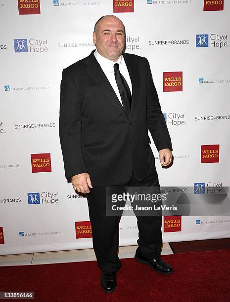 Actor James Gandolfini attends the 2011 City Of Hope Gala at Soho House on November 20, 2011 in West Hollywood, California.