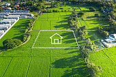 Land or landscape of green field in aerial view and home or house icon.