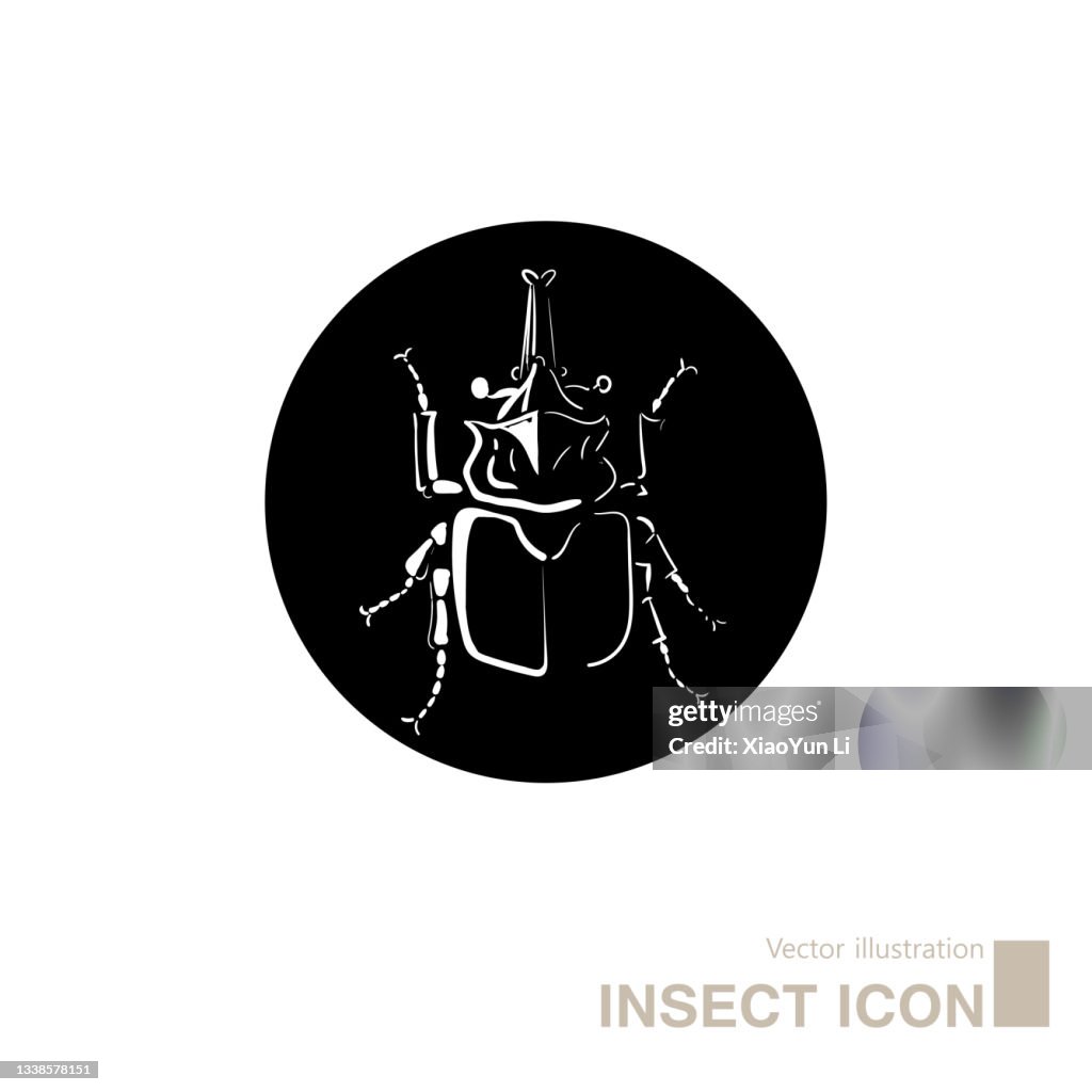 Vector drawn insect icon.