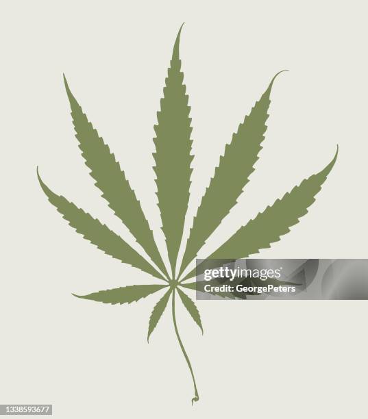 vector line art of hemp leaf - marijuana leaf stock illustrations