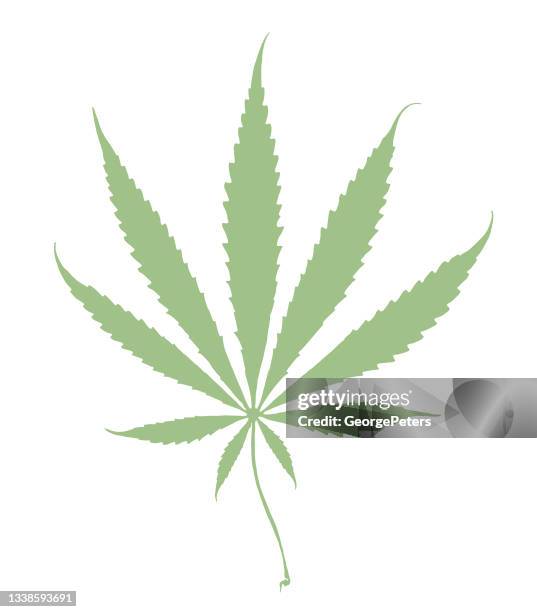 vector line art of hemp leaf - marijuana leaf stock illustrations