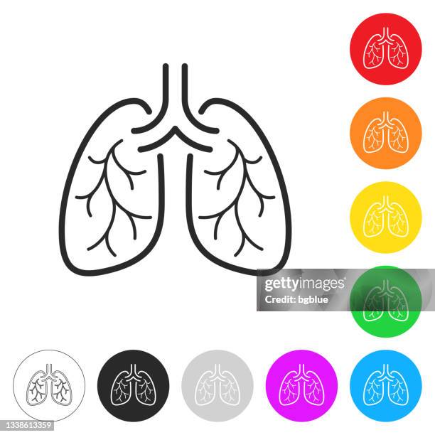 lunge. flache symbole auf schaltflächen in verschiedenen farben - lungenkrebs stock-grafiken, -clipart, -cartoons und -symbole