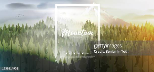 camp poster with pine forest, and mountains - camping background stock illustrations